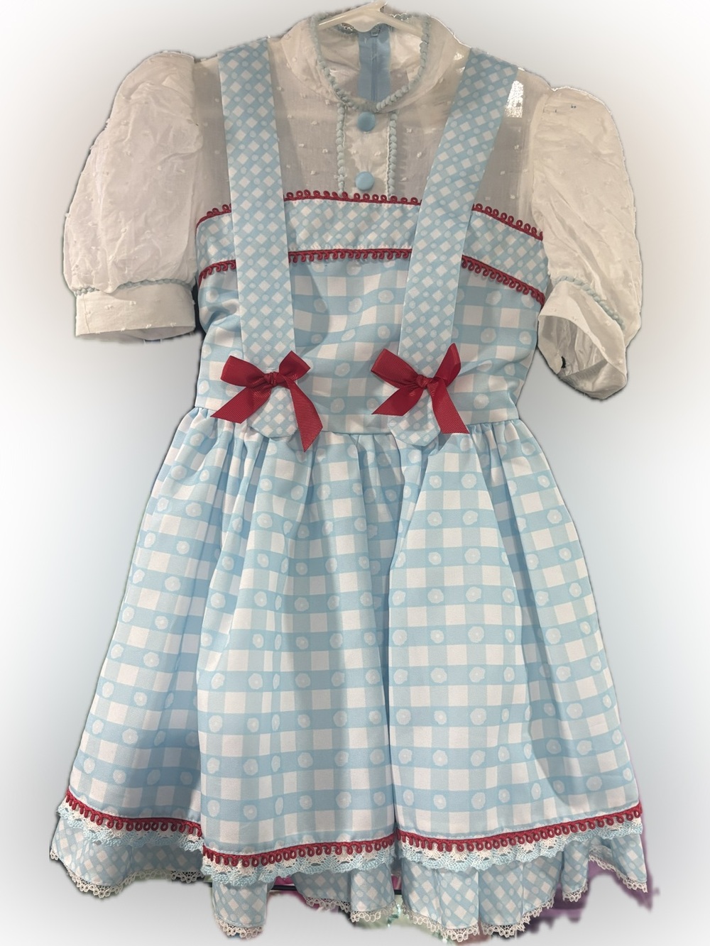 Dorothy / Wizard of Oz costume